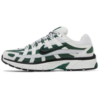 Nike P-6000 Fir